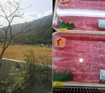 紅葉の様子としゃぶしゃぶ・すき焼肉